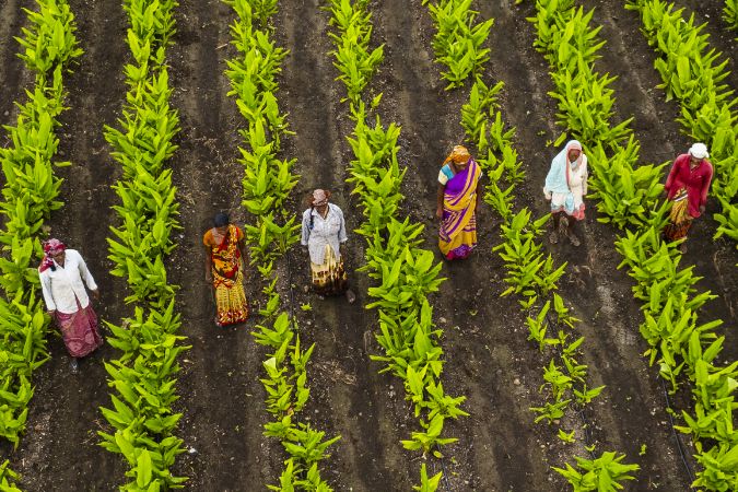 drone-farmers-farming